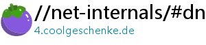 //net-internals/#dns